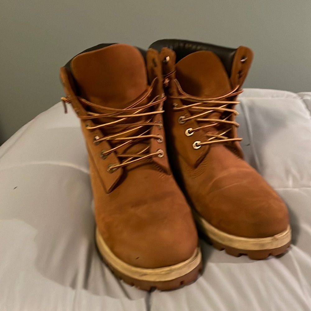 Mens 6 inch Timberland Premium Boot